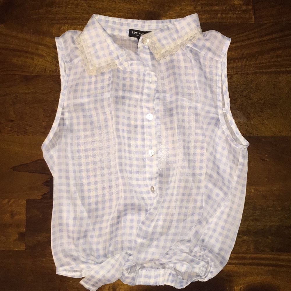 Sheer blue and white checkered blouse